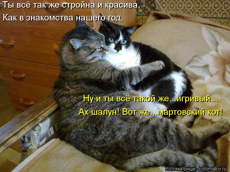 Ты всё так же стройна и красива, Как в знакомства нашего год. Ах шалун! Вот же...мартовский кот! Ну и... Котоматрица: Ты всё так же стройна и красива, Как в знакомства нашего год. Ах шалун! Вот же...мартовский кот! Ну и ты всё такой же...игривый...