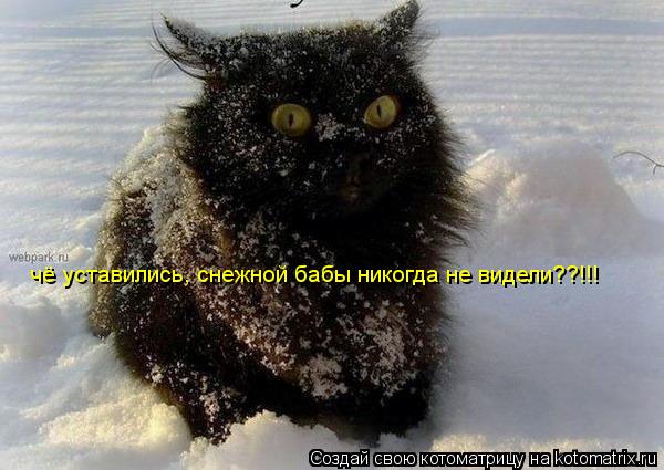 Котоматрица: чё уставились, снежной бабы никогда не видели??!!!
