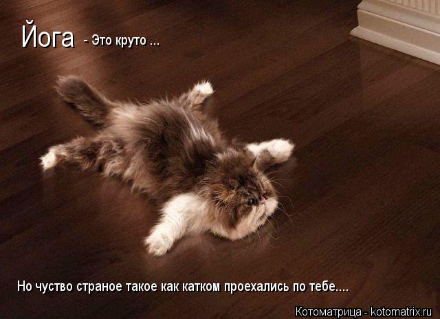 Йога - Это круто ... Но чуство страное такое как катком проехались по тебе....... Котоматрица: Йога - Это круто ... Но чуство страное такое как катком проехались по тебе....