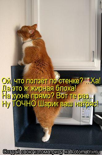 Ой, что ползёт по стенке? ...Ха! Да это ж жирная блоха! На кухне прямо? Вот те раз... Ну ТОЧНО Шарик ... Котоматрица: Ой, что ползёт по стенке? ...Ха! Да это ж жирная блоха! На кухне прямо? Вот те раз... Ну ТОЧНО Шарик ваш натряс!