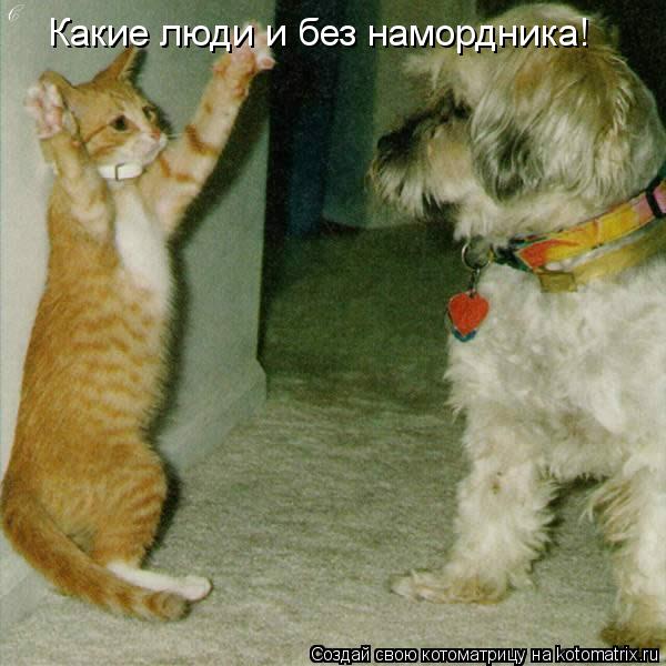 Какие люди и без намордника!... Котоматрица: Какие люди и без намордника!
