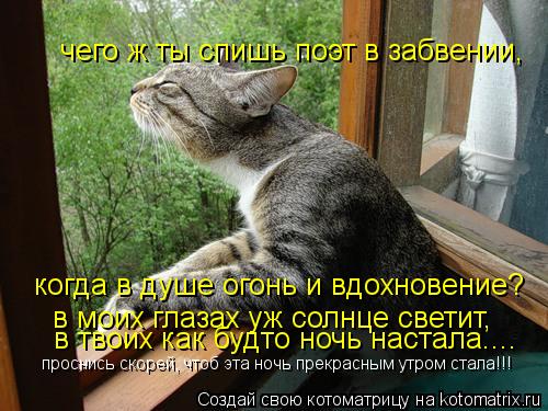 Котоматрица: чего ж ты спишь поэт в забвении, когда в душе огонь и вдохновение? в моих глазах уж солнце светит, в твоих как будто ночь настала.... проснись с