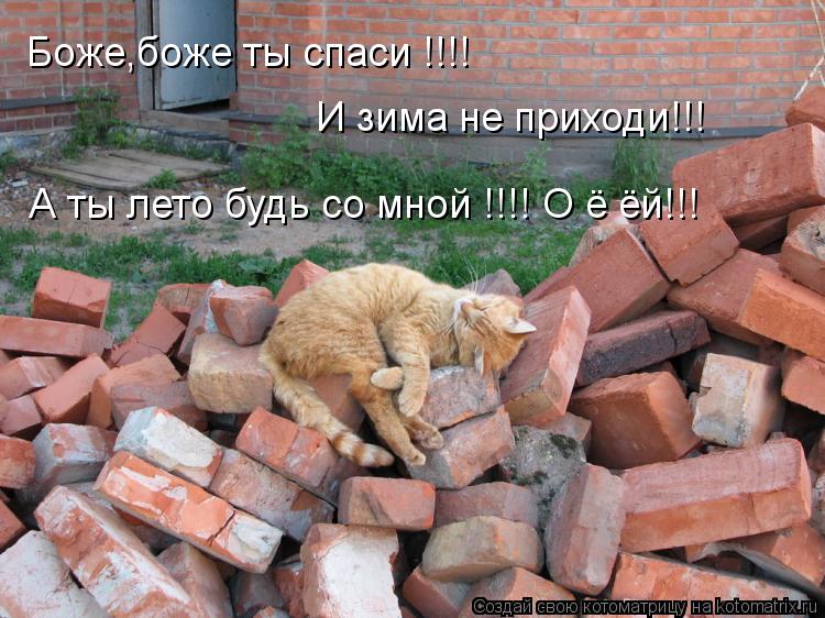 Котоматрица: Боже,боже ты спаси !!!! И зима не приходи!!! А ты лето будь со мной !!!! О ё ёй!!!