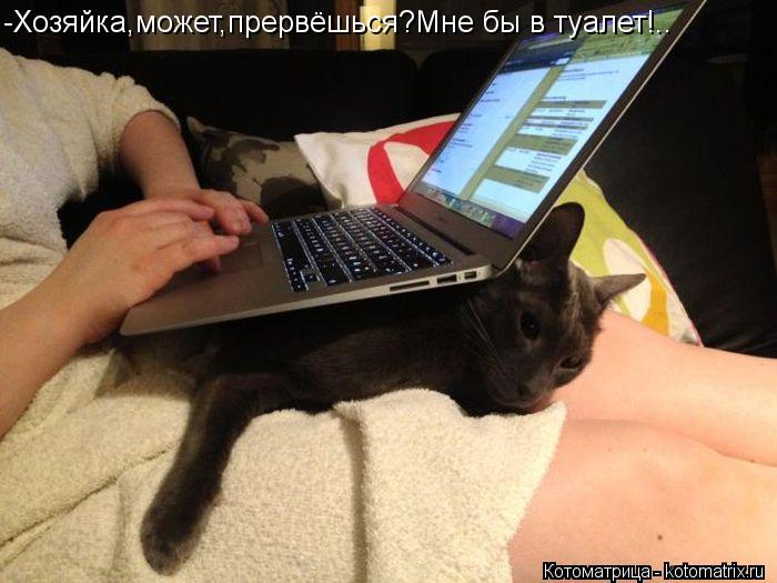 -Хозяйка,может,прервёшься?Мне бы в туалет!..... Котоматрица: -Хозяйка,может,прервёшься?Мне бы в туалет!..