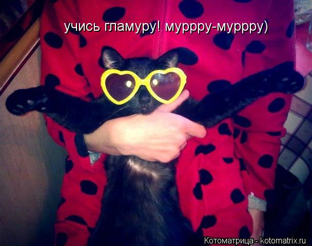 учись гламуру! муррру-муррру)... Котоматрица: учись гламуру! муррру-муррру)