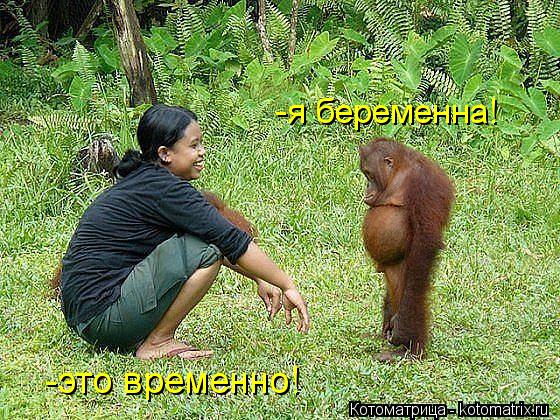 -я беременна! -это временно!... Котоматрица: -я беременна! -это временно!