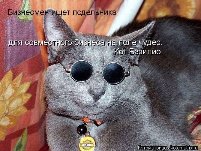 Бизнесмен ищет подельника Кот Базилио. для совместного бизнеса на поле чудес.... Котоматрица: Бизнесмен ищет подельника Кот Базилио. для совместного бизнеса на поле чудес.
