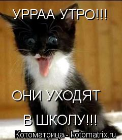 Котоматрица: УРРАА УТРО!!! ОНИ УХОДЯТ  В ШКОЛУ!!!