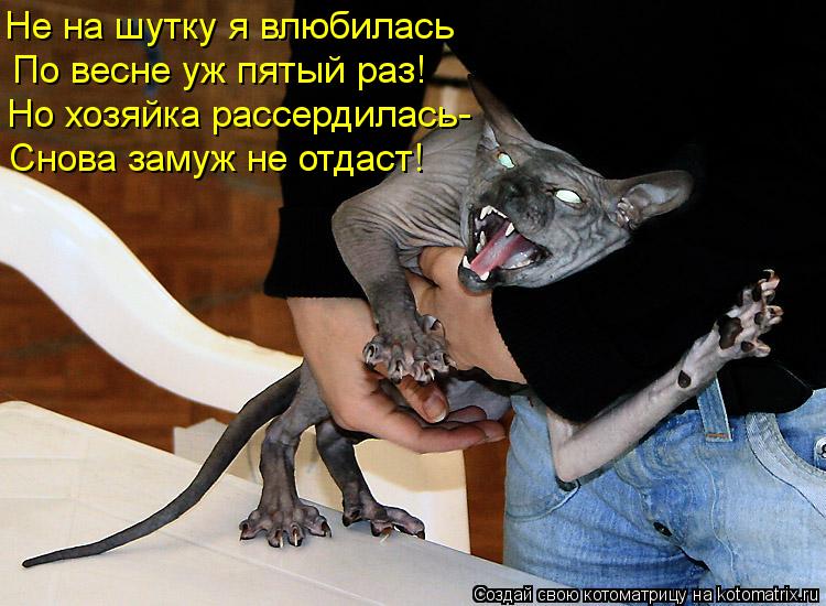 Не на шутку я влюбилась По весне уж пятый раз! Но хозяйка рассердилась- Снова замуж не отдаст!... Котоматрица: Не на шутку я влюбилась По весне уж пятый раз! Но хозяйка рассердилась- Снова замуж не отдаст!