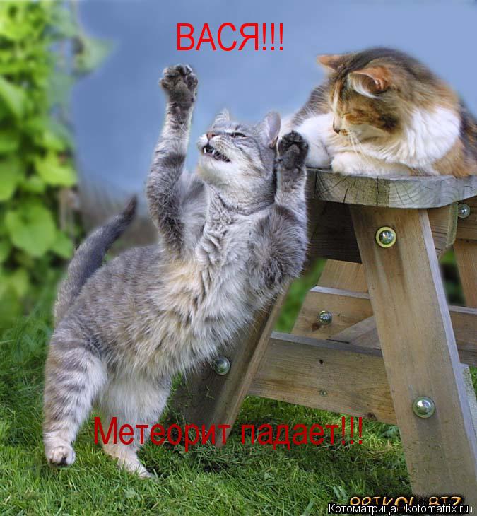ВАСЯ!!! Метеорит падает!!!... Котоматрица: ВАСЯ!!! Метеорит падает!!!