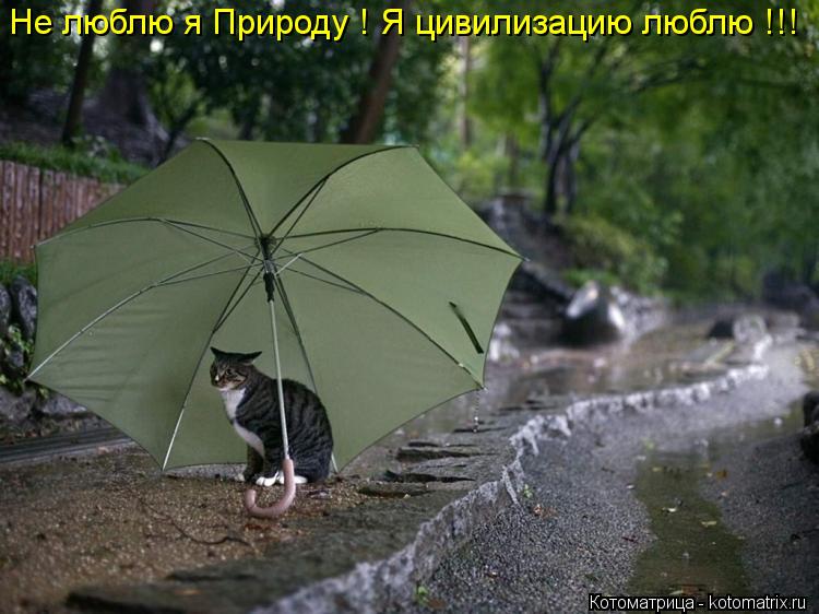 Не люблю я Природу ! Я цивилизацию люблю !!!... Котоматрица: Не люблю я Природу ! Я цивилизацию люблю !!!