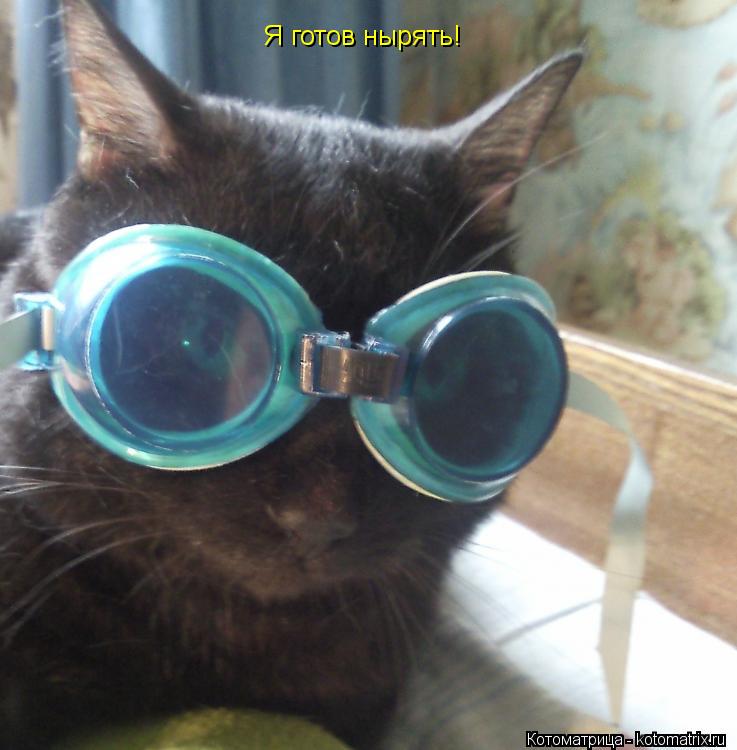 Я готов нырять!... Котоматрица: Я готов нырять!
