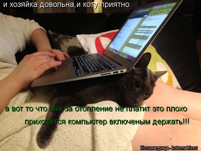 Котоматрица: и хозяйка довольна,и коту приятно и хозяйка довольна,и коту приятно а вот то что она за отопление не платит это плохо  а вот то что она за ото