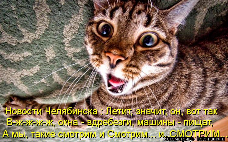 Новости Челябинска : Летит, значит, он, вот так В-ж-ж-ж-ж, окна - вдребезги, машины - пищат, А мы, та... Котоматрица: Новости Челябинска : Летит, значит, он, вот так В-ж-ж-ж-ж, окна - вдребезги, машины - пищат, А мы, такие смотрим и Смотрим... и..СМОТРИМ...