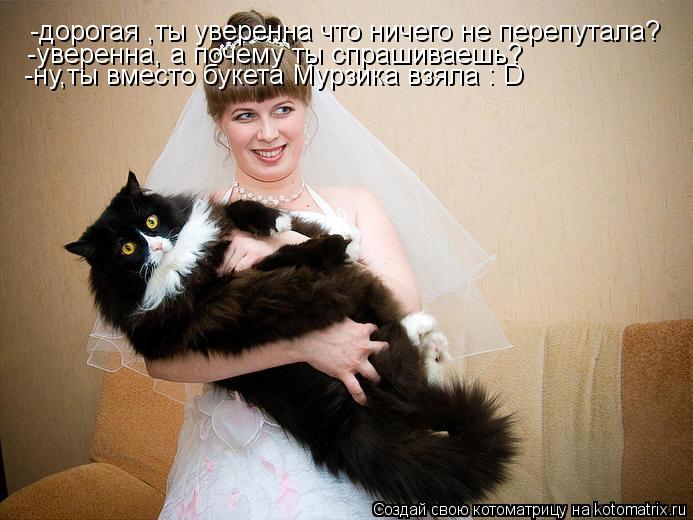 Котоматрица: -дорогая ,ты уверенна что ничего не перепутала?                  -уверенна, а почему ты спрашиваешь?                  -ну,ты вместо букета Мурзика взяла : D