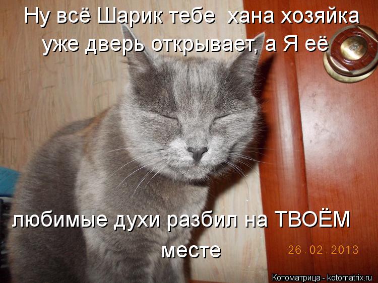 Ну всё Шарик тебе хана хозяйка уже дверь открывает, а Я её любимые духи разбил на ТВОЁМ месте... Котоматрица: Ну всё Шарик тебе хана хозяйка уже дверь открывает, а Я её любимые духи разбил на ТВОЁМ месте