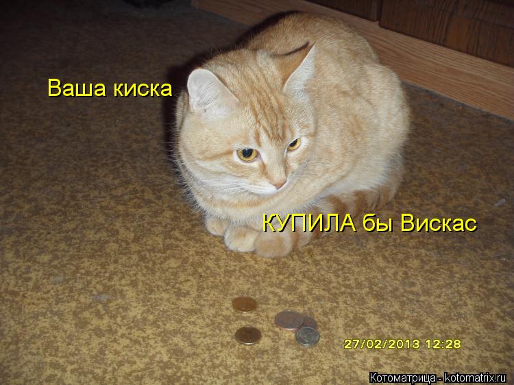 Котоматрица: Ваша киска  КУПИЛА бы Вискас