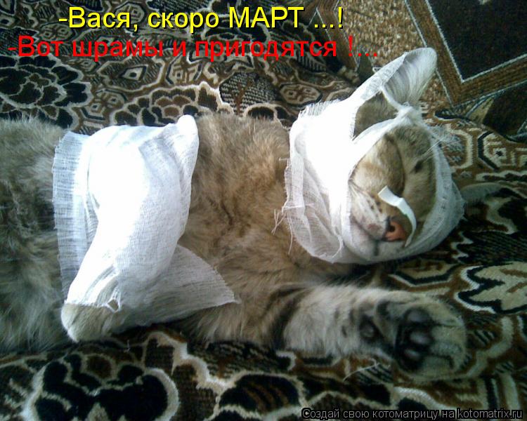 -Вася, скоро МАРТ ...! -Вот шрамы и пригодятся !...... Котоматрица: -Вася, скоро МАРТ ...! -Вот шрамы и пригодятся !...