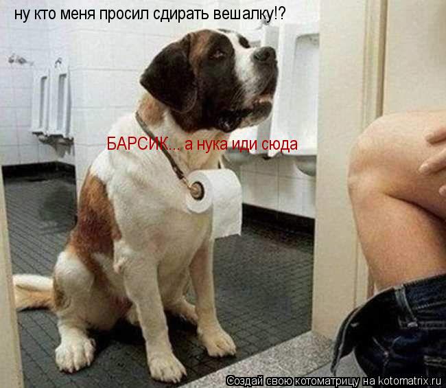 Котоматрица: ну кто меня просил сдирать вешалку!? БАРСИК... а нука иди сюда