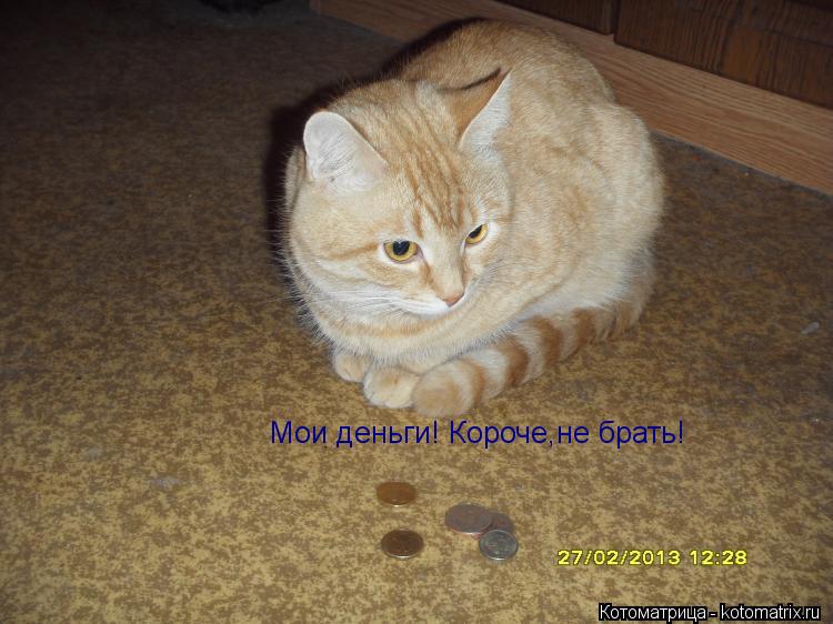 Мои деньги! Короче,не брать!... Котоматрица: Мои деньги! Короче,не брать!