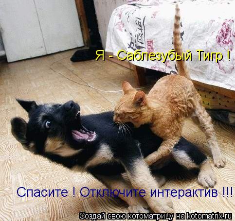 Я - Саблезубый Тигр ! Спасите ! Отключите интерактив !!!... Котоматрица: Я - Саблезубый Тигр ! Спасите ! Отключите интерактив !!!