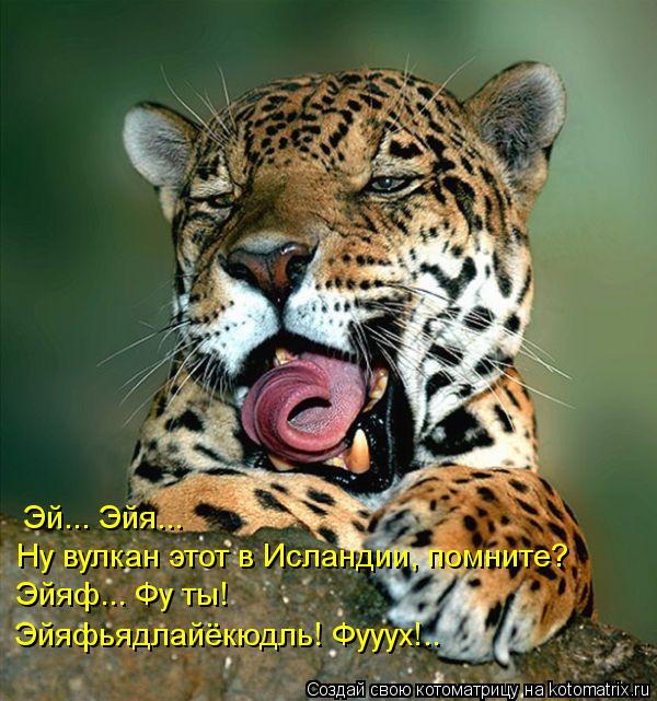 Эй... Эйя... Ну вулкан этот в Исландии, помните? Эйяф... Фу ты! Эйяфьядлайёкюдль! Фууух!..... Котоматрица: Эй... Эйя... Ну вулкан этот в Исландии, помните? Эйяф... Фу ты! Эйяфьядлайёкюдль! Фууух!..