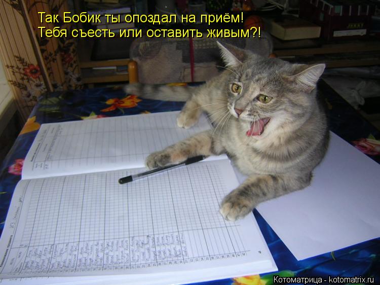Котоматрица: Так Бобик ты опоздал на приём! Тебя съесть или оставить живым?!