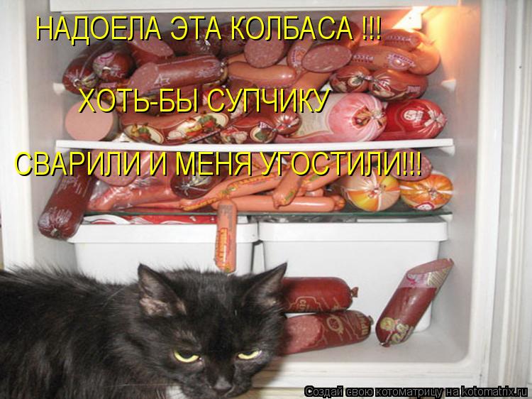 СВАРИЛИ И МЕНЯ УГОСТИЛИ!!! НАДОЕЛА ЭТА КОЛБАСА !!! ХОТЬ-БЫ СУПЧИКУ... Котоматрица: СВАРИЛИ И МЕНЯ УГОСТИЛИ!!! НАДОЕЛА ЭТА КОЛБАСА !!! ХОТЬ-БЫ СУПЧИКУ