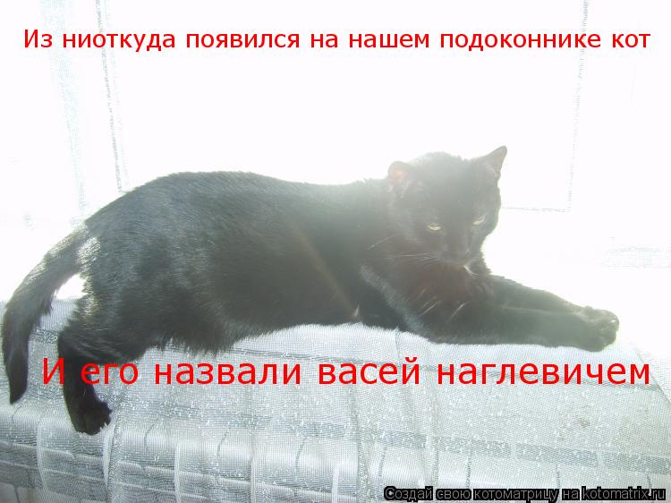 Из ниоткуда появился на нашем подоконнике кот И его назвали васей наглевичем... Котоматрица: Из ниоткуда появился на нашем подоконнике кот И его назвали васей наглевичем