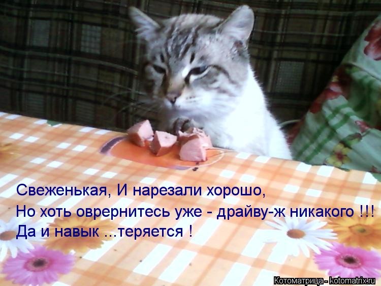Свеженькая, И нарезали хорошо, Но хоть оврернитесь уже - драйву-ж никакого !!! Да и навык ...теряется... Котоматрица: Свеженькая, И нарезали хорошо, Но хоть оврернитесь уже - драйву-ж никакого !!! Да и навык ...теряется !