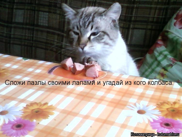 Котоматрица: Сложи пазлы своими лапами и угадай из кого колбаса.