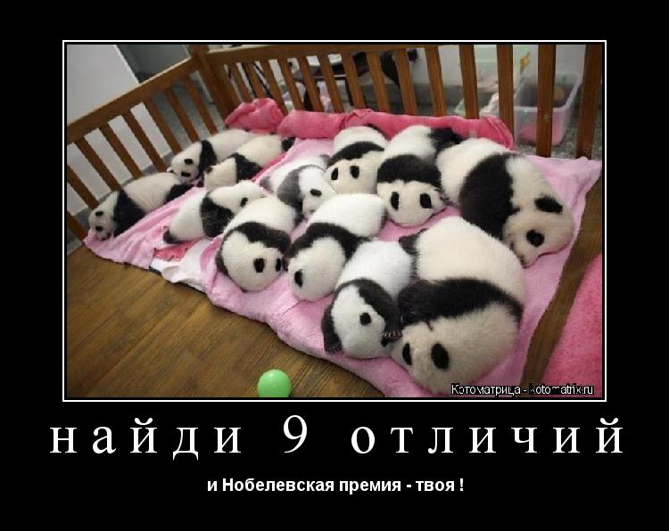найди 9 отличий и Нобелевская премия - твоя !... Котоматрица: найди 9 отличий и Нобелевская премия - твоя !