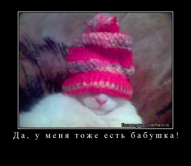Да, у меня тоже есть бабушка! ... Котоматрица: Да, у меня тоже есть бабушка!