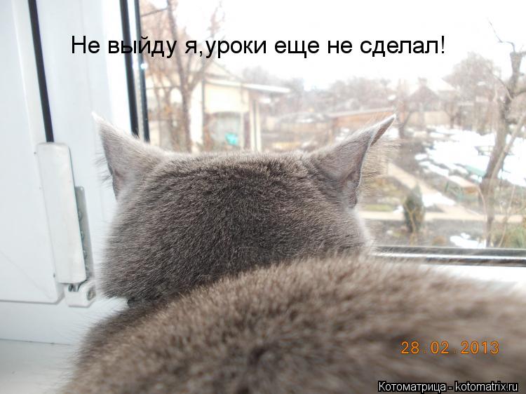 Не выйду я,уроки еще не сделал!... Котоматрица: Не выйду я,уроки еще не сделал!