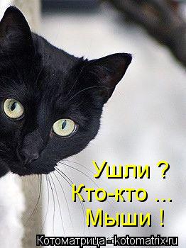 Ушли ? Кто-кто ... Мыши !... Котоматрица: Ушли ? Кто-кто ... Мыши !