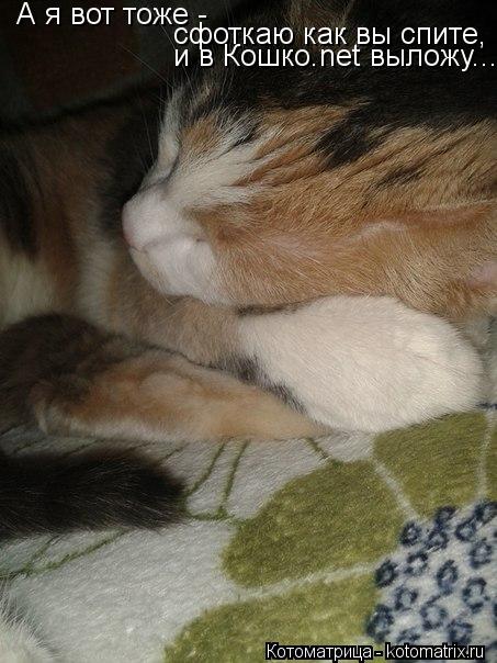 А я вот тоже - сфоткаю как вы спите, и в Кошко.net выложу...... Котоматрица: А я вот тоже - сфоткаю как вы спите, и в Кошко.net выложу...