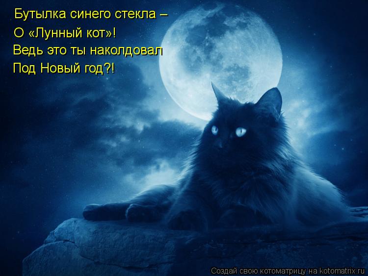 Бутылка синего стекла – О «Лунный кот»! Ведь это ты наколдовал Под Новый год?!... Котоматрица: Бутылка синего стекла – О «Лунный кот»! Ведь это ты наколдовал Под Новый год?!