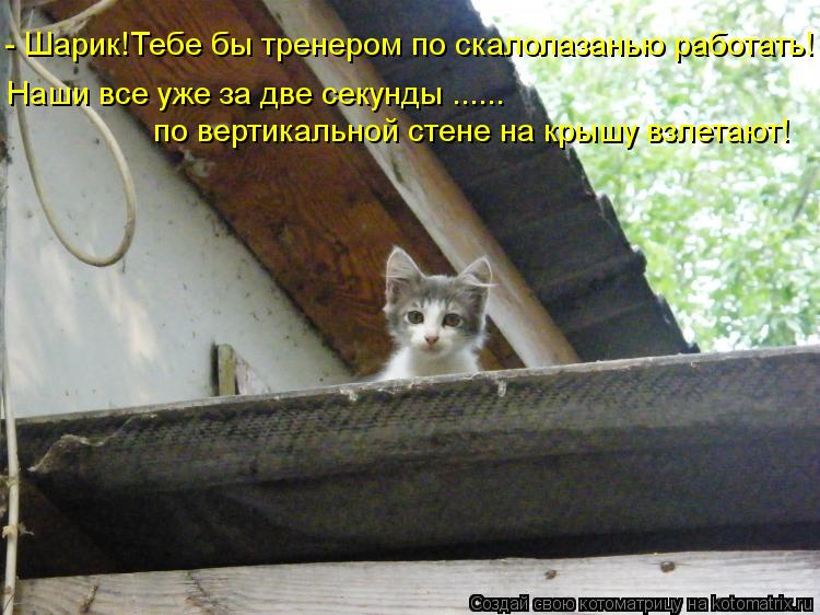 - Шарик!Тебе бы тренером по скалолазанью работать! Наши все уже за две секунды ...... по вертикальной... Котоматрица: - Шарик!Тебе бы тренером по скалолазанью работать! Наши все уже за две секунды ...... по вертикальной стене на крышу взлетают!