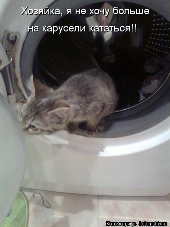 Хозяйка, я не хочу больше на карусели кататься!!... Котоматрица: Хозяйка, я не хочу больше на карусели кататься!!