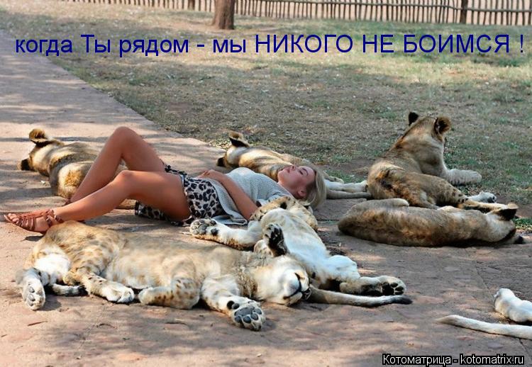 когда Ты рядом - мы НИКОГО НЕ БОИМСЯ !... Котоматрица: когда Ты рядом - мы НИКОГО НЕ БОИМСЯ !
