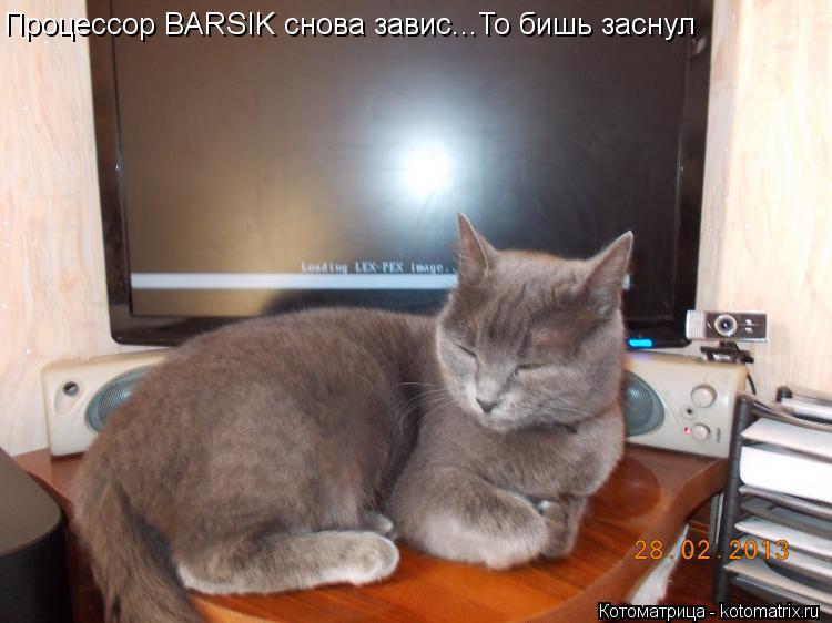 Процессор BARSIK снова завис...То бишь заснул... Котоматрица: Процессор BARSIK снова завис...То бишь заснул
