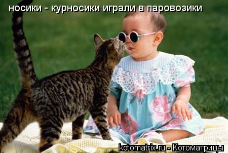 носики - курносики играли в паровозики... Котоматрица: носики - курносики играли в паровозики