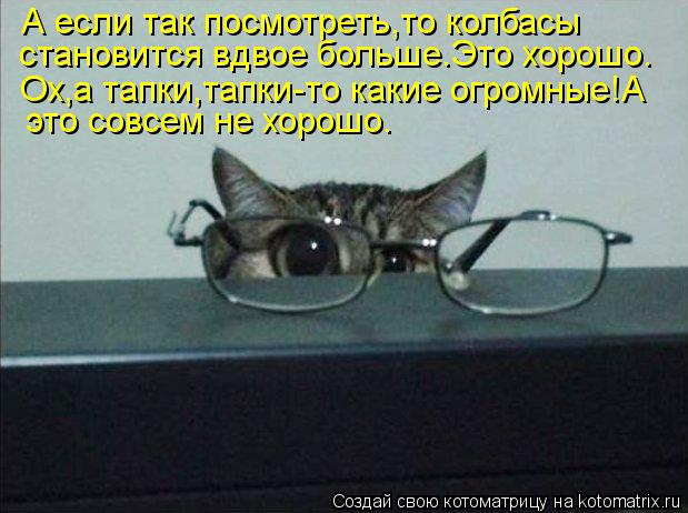 А если так посмотреть,то колбасы становится вдвое больше.Это хорошо. Ох,а тапки,тапки-то какие огромн... Котоматрица: А если так посмотреть,то колбасы становится вдвое больше.Это хорошо. Ох,а тапки,тапки-то какие огромные!А это совсем не хорошо.