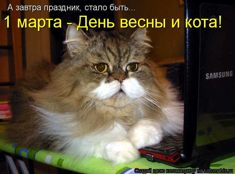 А завтра праздник, стало быть... 1 марта - День весны и кота!... Котоматрица: А завтра праздник, стало быть... 1 марта - День весны и кота!