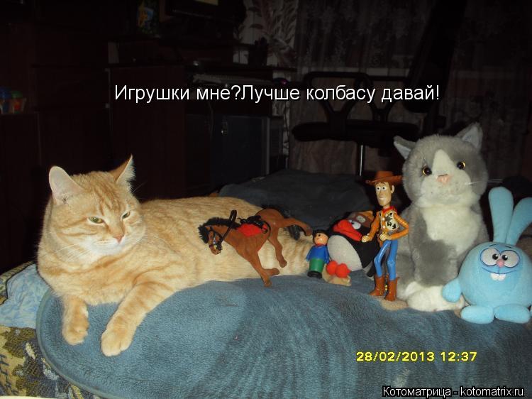 Игрушки мне?Лучше колбасу давай!... Котоматрица: Игрушки мне?Лучше колбасу давай!