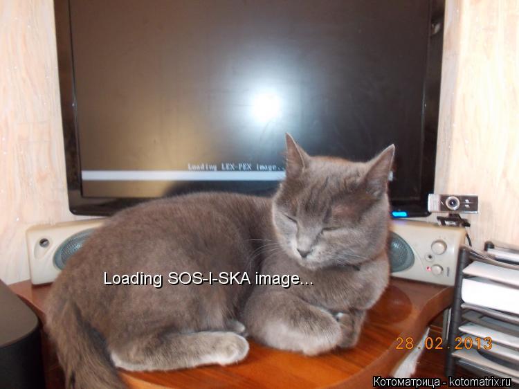 Loading SOS-I-SKA image...... Котоматрица: Loading SOS-I-SKA image...