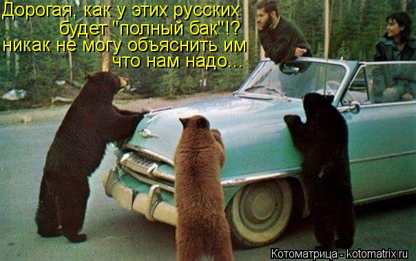 Дорогая, как у этих русских будет "полный бак"!? никак не могу объяснить им что нам надо...... Котоматрица: Дорогая, как у этих русских будет "полный бак"!? никак не могу объяснить им что нам надо...