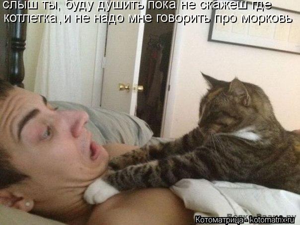 слыш ты, буду душить пока не скажеш где котлетка и не надо мне говорить про морковь ,... Котоматрица: слыш ты, буду душить пока не скажеш где котлетка и не надо мне говорить про морковь ,