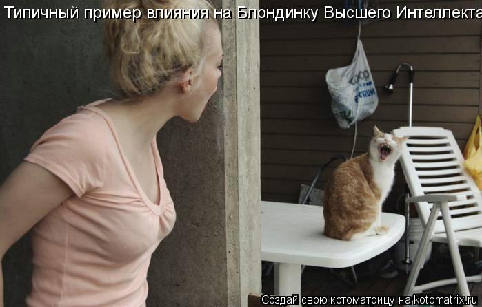 Типичный пример влияния на Блондинку Высшего Интеллекта... Котоматрица: Типичный пример влияния на Блондинку Высшего Интеллекта