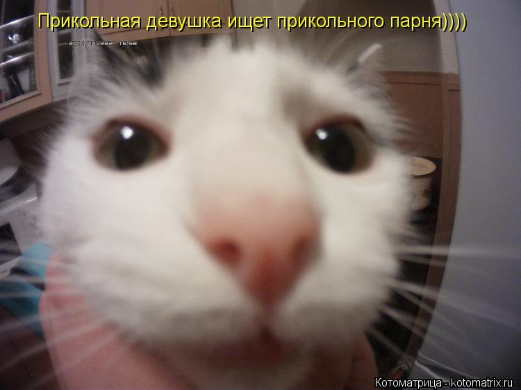 Прикольная девушка ищет прикольного парня))))... Котоматрица: Прикольная девушка ищет прикольного парня))))